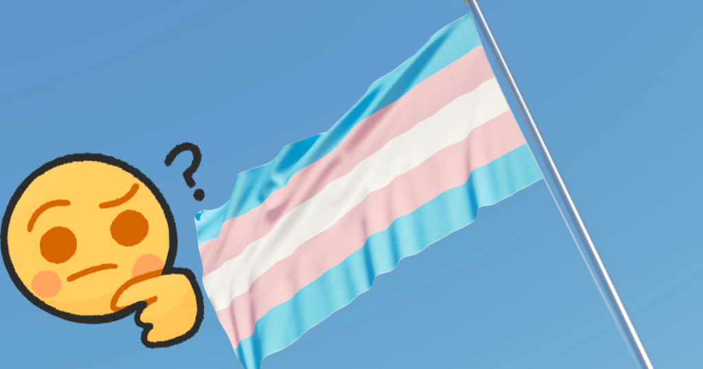 Transgender: A Short Guide